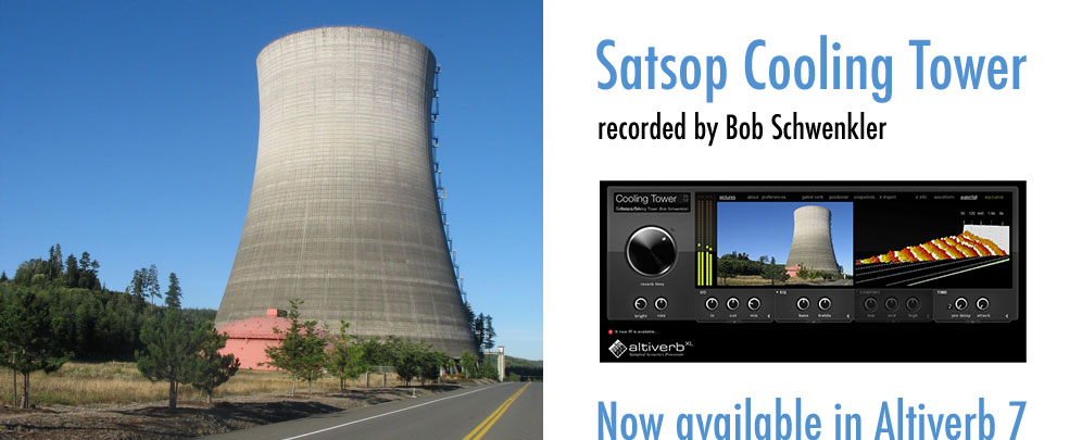 Satsop Cooling Tower IR set